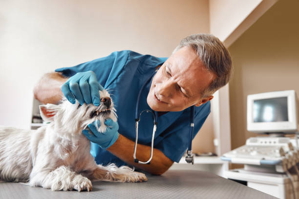 Best Weekend Emergency Dentist in Port Monmouth, NJ